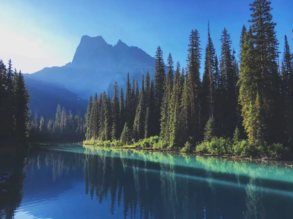 Scenic view of a serene mountain lake surrounded by tall pines under clear blue skies.